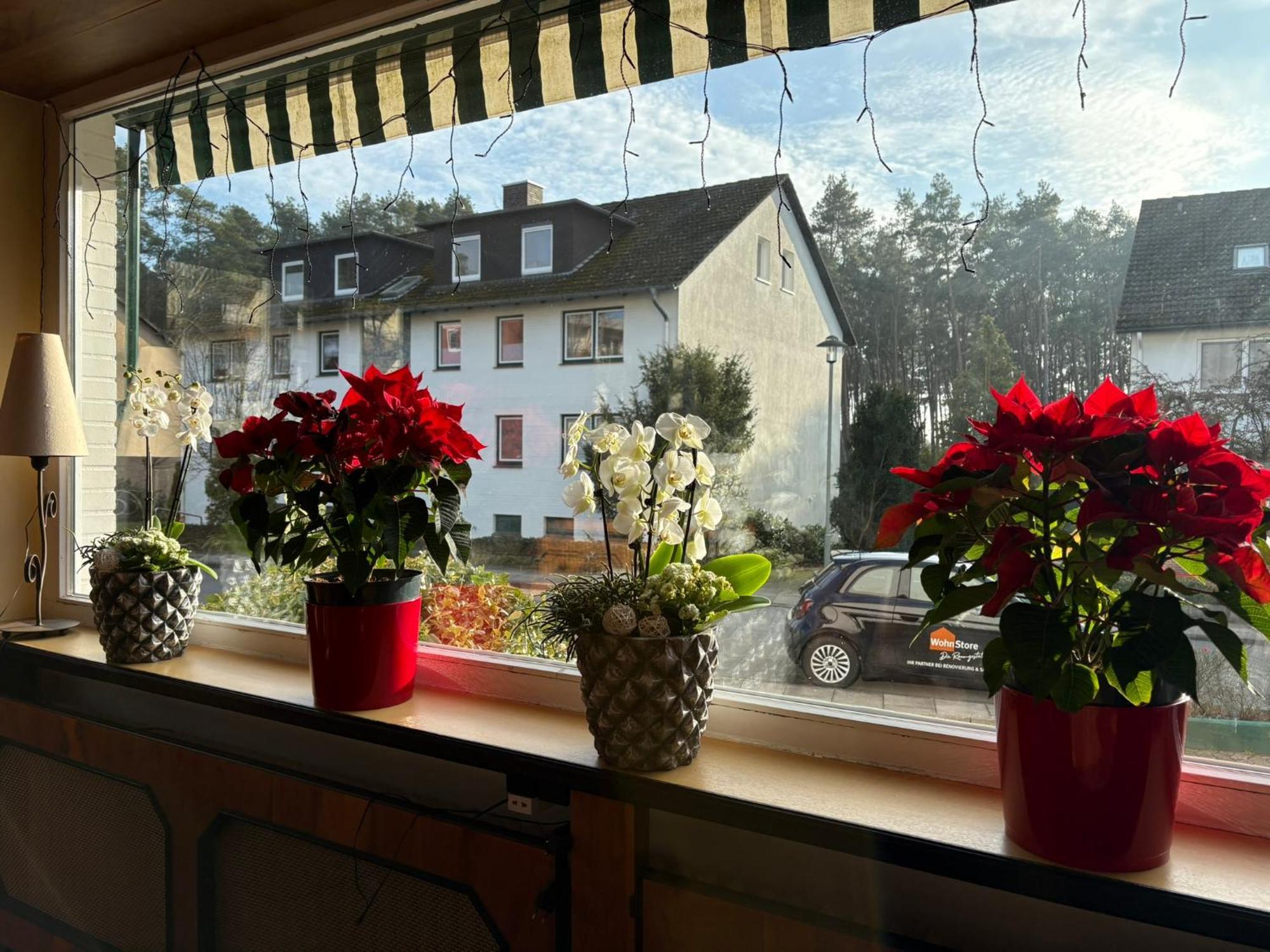 Hotel Kieferneck Bad Bevensen Eksteriør billede